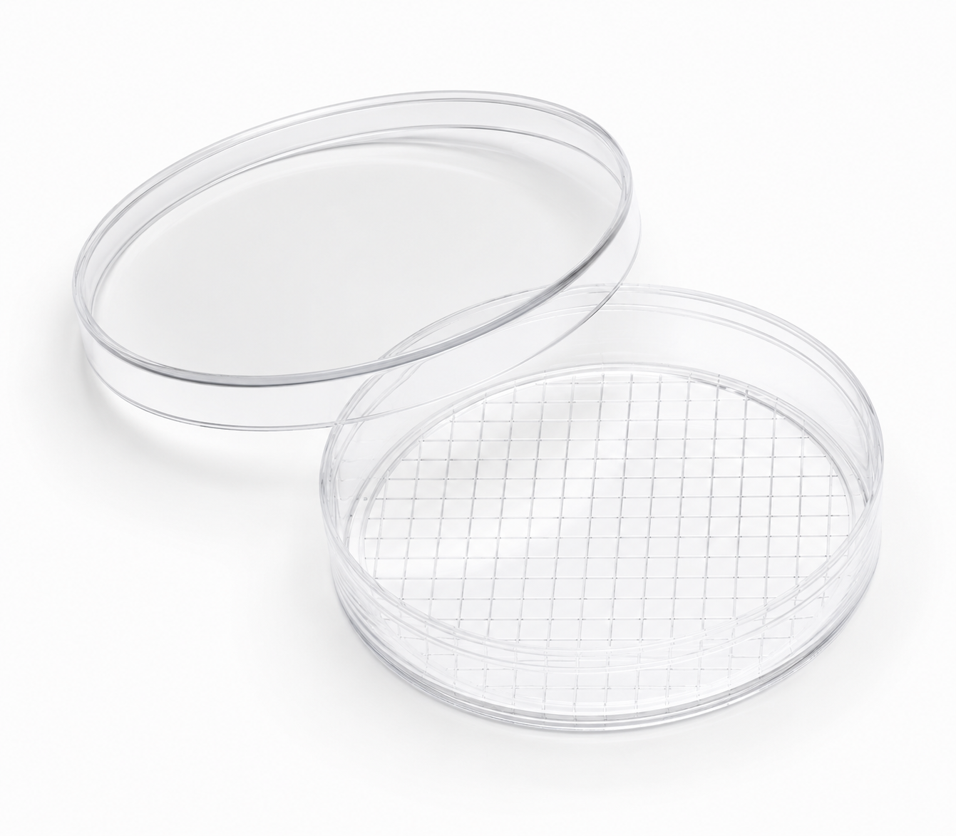 Oocyte Searching Dishes (60 mm gridded)