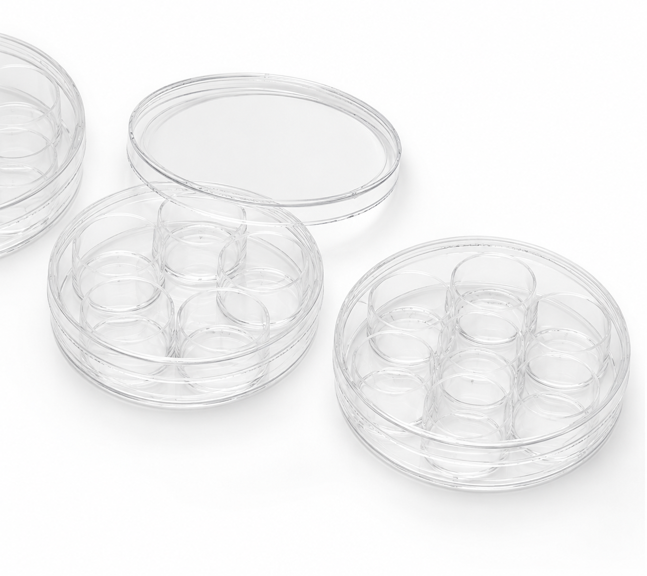 Multi-Well Culture Plates (4-Well, 5-Well, and 6-Well Configurations) - Thumbnail 2