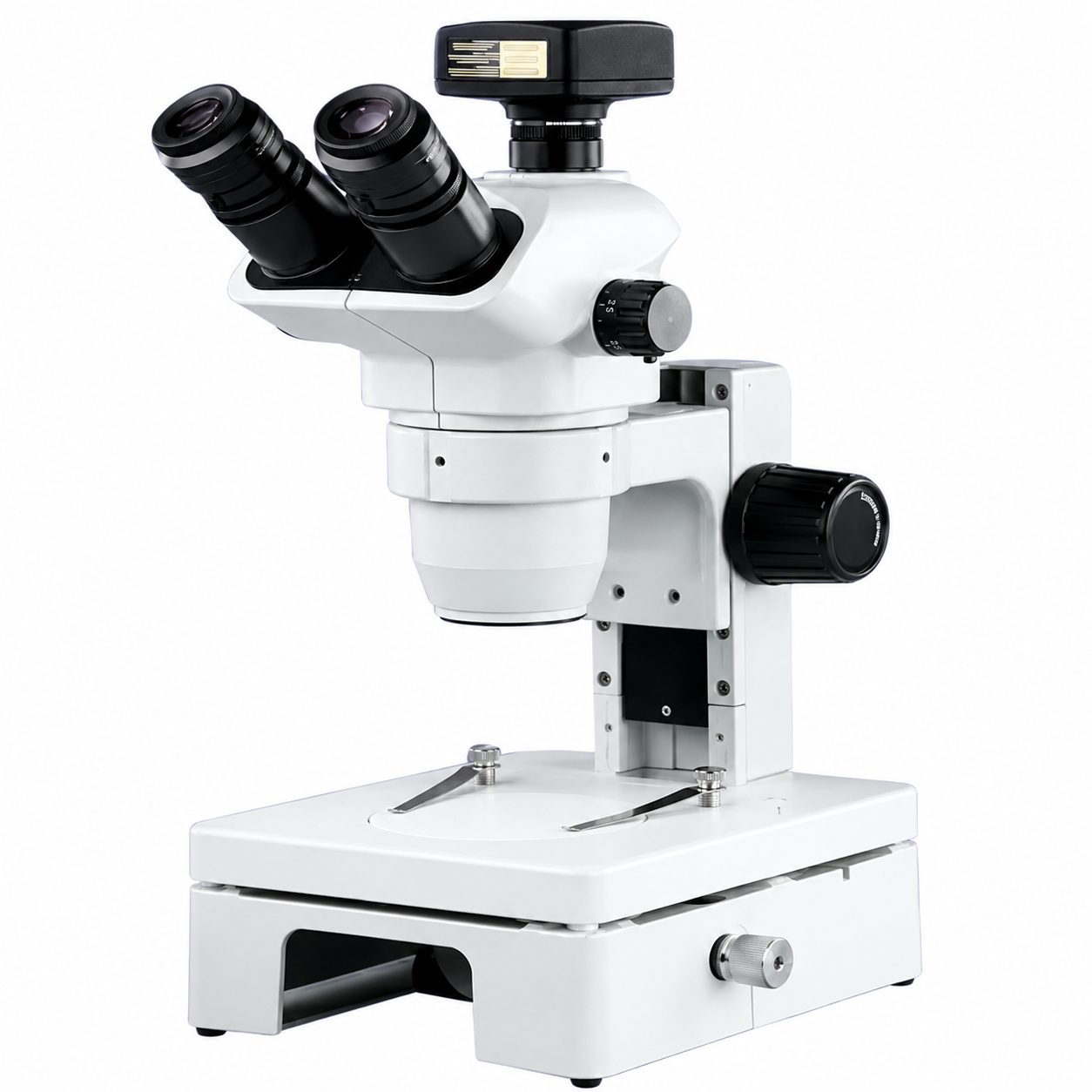Stereo Microscope