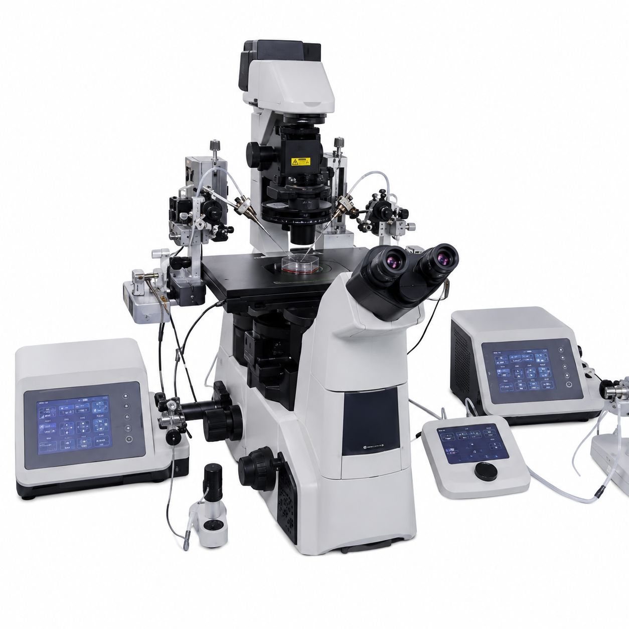 Microinjector System