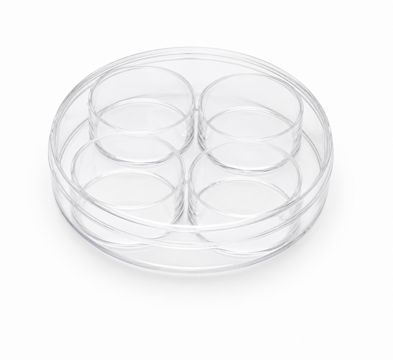 Multi-Well Culture Plates (4-Well, 5-Well, and 6-Well Configurations)